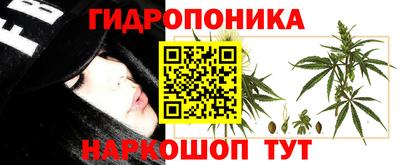 a pvp Мариинск