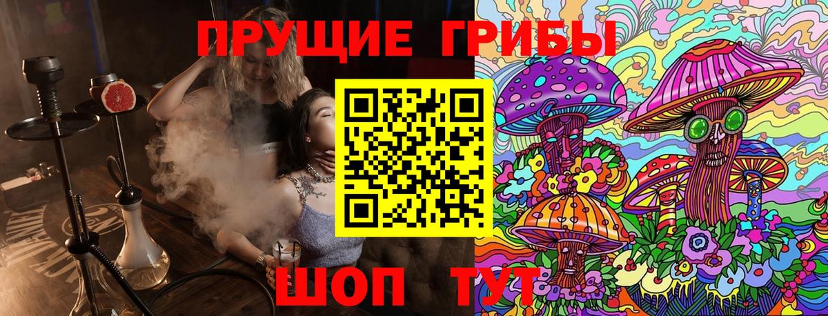 Вичуга  Псилоцибиновые грибы MAGIC MUSHROOMS  Галлюциногенные грибы Cubensis  Вход с VPN 