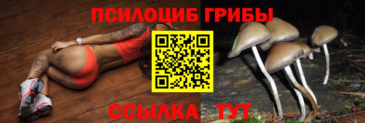 Галлюциногенные грибы мухоморы Вичуга